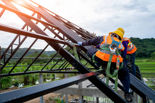 Best Roof Replacement Cost  in Nanawale Estates, HI