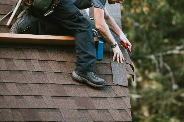 Best Roof Gutter Cleaning  in Nanawale Estates, HI